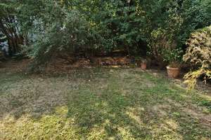 1-Zimmer-Wohnung mit großem Garten in Mainz-Laubenheim – Die vollständige Adresse der Immobilie erhältst du vom Anbieter., 55130 Laubenheim, Mainz – Vorschaubild 6