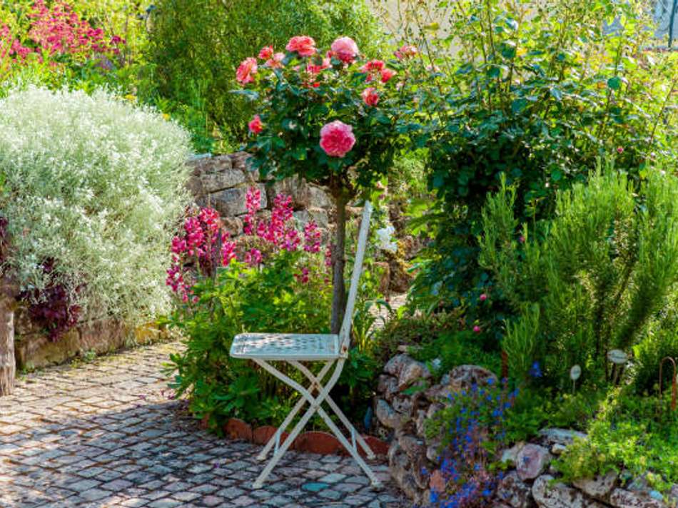 Genuss pur im eigenen Garten 5