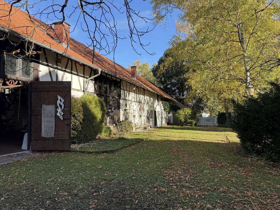 Scheuer, Birkenallee