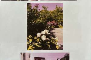 3-Zimmer-Erdgeschoss-Whg. m. Garten in Köln-Ehrenfeld – Die vollständige Adresse der Immobilie erhältst du vom Anbieter., 50825 Neuehrenfeld, Köln – Vorschaubild 3