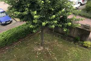 Property thumbnail 41
