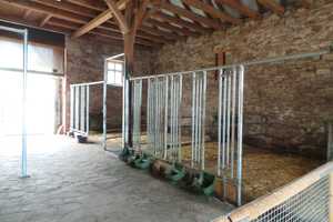 TOP: Anwesen mit Reitplatz! – Holzminden (Kreis) – Vorschaubild 4