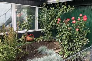 Mehrfamilienhaus, teilweise Renovierungsbedürftig – Die vollständige Adresse der Immobilie erhältst du vom Anbieter., 99837 Dippach – Vorschaubild 1