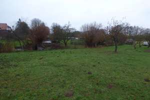 Carinerland / Garvensdorf. – Am Hellbach 4, 18233 Kirch Mulsow – Vorschaubild 21