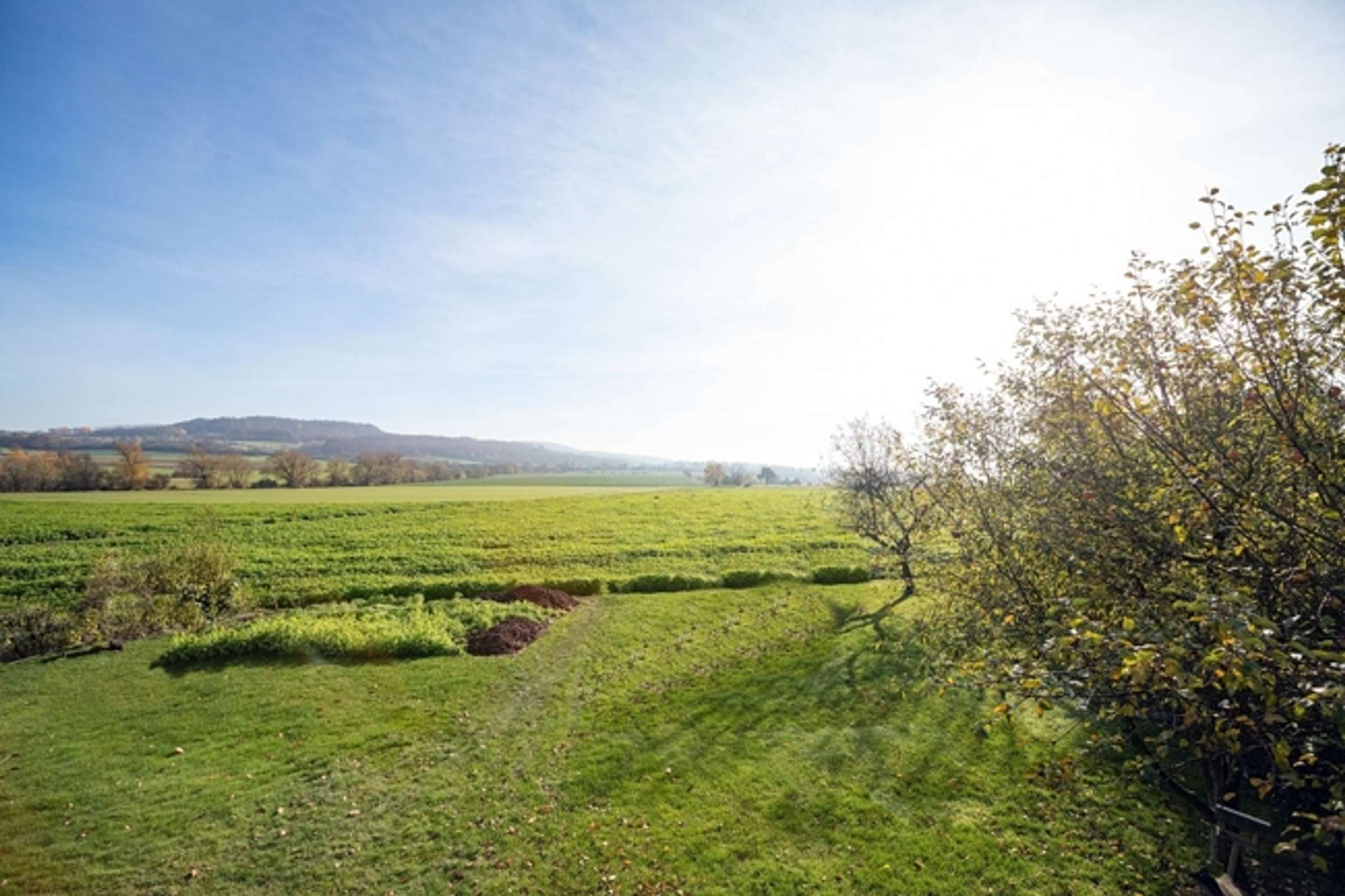 Ansprechende und moderne 5-Zimmer-Wohnung mit herrlicher Aussicht in naturnaher Umgebung