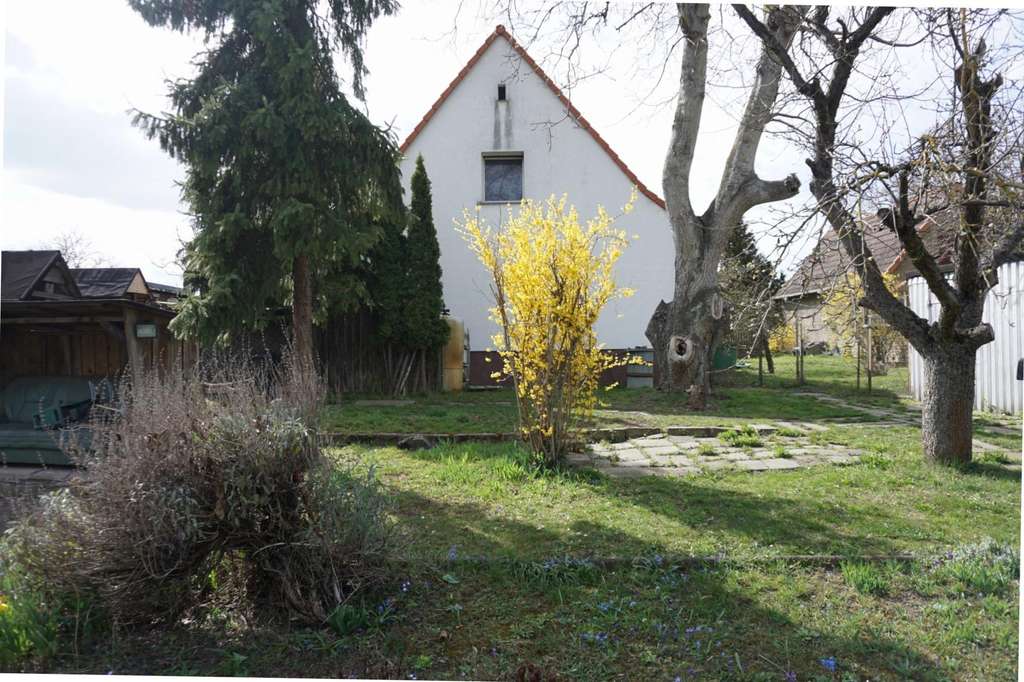 Immobilie in Wegeleben - Auf einem großen Grundstück - Bild 4