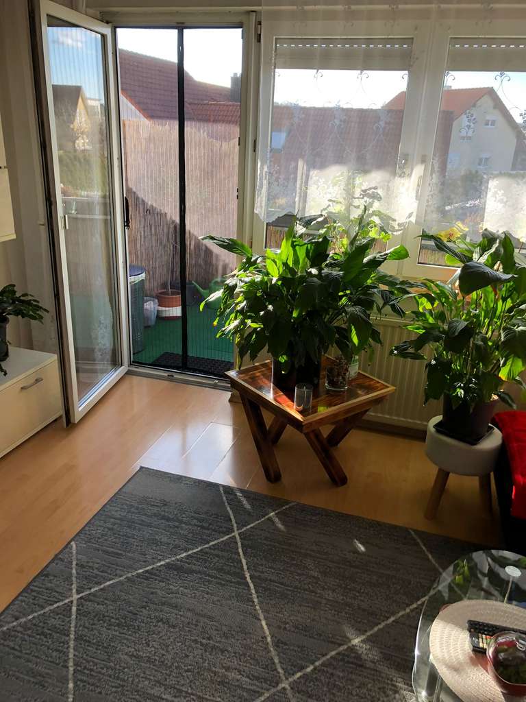 Immobilie in Obersontheim - 3,5-Zimmer Wohnung mit Balkon in Obersontheim - Bild 0