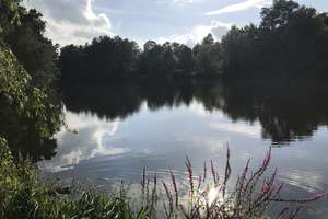 4 Zimmer Altbauwohnung in Top Zustand mit Blick in den Park – Die vollständige Adresse der Immobilie erhältst du vom Anbieter., 21073 Harburg (Ortsteil), Hamburg – Vorschaubild 10