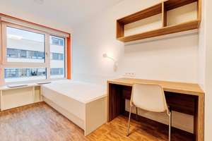 Mietrabatt - NUR FÜR STUDENTEN - Schönes Zimmer in 3-er Studenten-WG