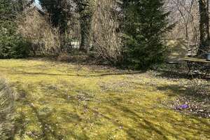 Exklusiv renoviertes Einfamilienhaus in Bestlage von Bogenhausen – direkt am Park – Wimmerstraße 25, 81927 Englschalking, München – Vorschaubild 4
