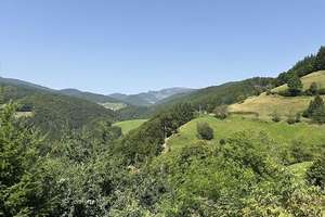 Wohnhaus mit vielseitig nutzbarem Anbau und Blick zum Belchen – Die vollständige Adresse der Immobilie erhältst du vom Anbieter., 79692 Elbenschwand – Vorschaubild 31