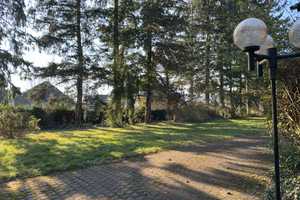 Einzigartiges Grundstück ... Einfamilienhaus mit Hallen auf einem parkähnlichem Grundstück – Miltenberg (Kreis) – Vorschaubild 19