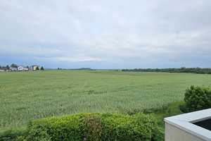 Wohnen im Grünen, Reihendhaus, Garten, Feldrandlage, ruhige Wohnlage, von privat, kein Makler ! – Wetteraukreis – Vorschaubild 11