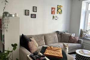 Property thumbnail 16