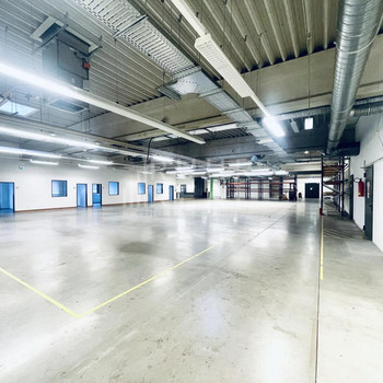 Hallenfläche/ Showroom | 800 m² | RUHR REAL