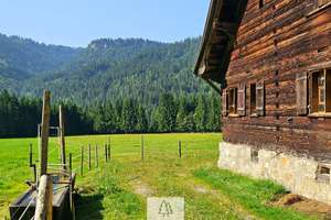 Einzigartiges Naturjuwel in den Allgäuer Alpen – anerkannte Alpe mit Wald- und Weideflächen – Die vollständige Adresse der Immobilie erhältst du vom Anbieter., 87538 Balderschwang – Vorschaubild 7