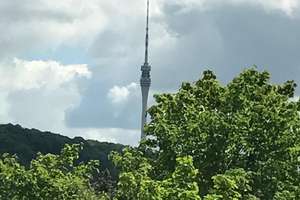 VERMIETETE Maisonettewohnung mit großer Dachterrasse und Weitblick – Die vollständige Adresse der Immobilie erhältst du vom Anbieter., 1309 Blasewitz (Stadtteil), Dresden – Vorschaubild 8