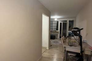 Sehr fairer Preis / 2-Zi-Whg Rhein-Main – 65934 Nied, Frankfurt am Main – Vorschaubild 17