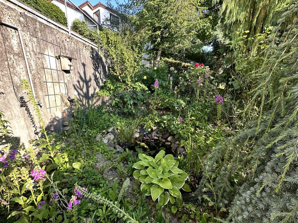 Garten mit Teich