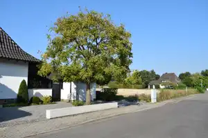 Kubistisches Einfamilienhaus mit hochwertiger Ausstattung für gehobene Lebensqualität – Mülheim an der Ruhr – Vorschaubild 2