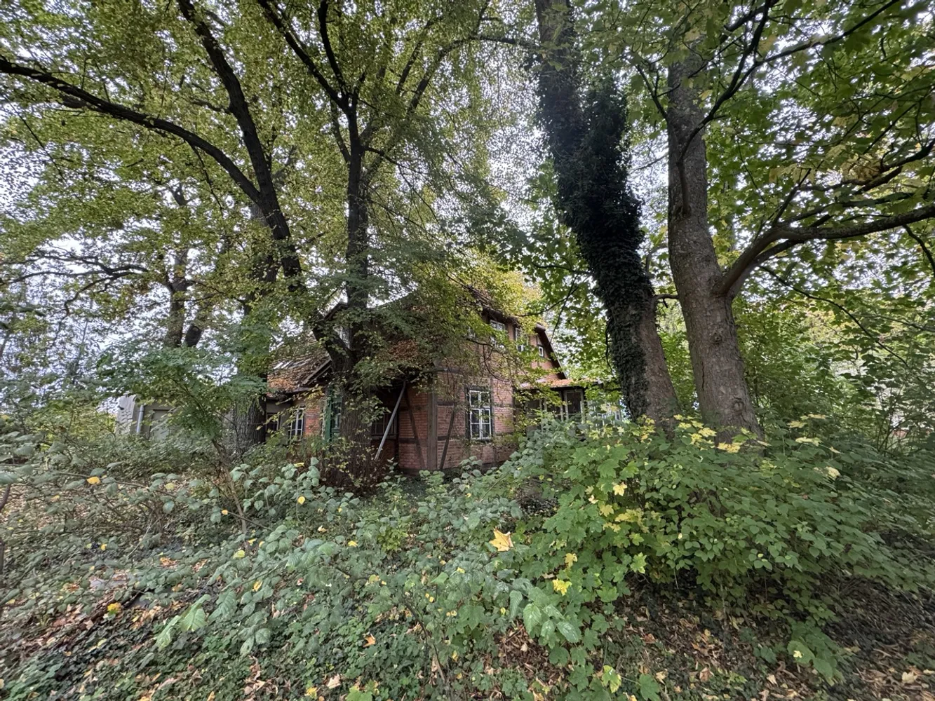 Charmantes Fachwerkhaus im Grünen, Ludwigslust Parchim Kreis – Bild 1