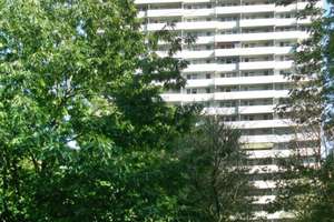 Modernisierte 3-Zimmer-Wohnung mit Balkon zu vermieten! – 60433 Frankfurter Berg, Frankfurt am Main – Vorschaubild 6