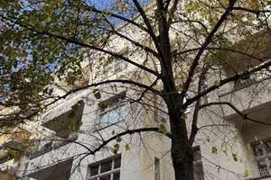 Bezugsfrei - großer Südbalkon - Kreuzkölln nahe Maybachufer - Top Zustand – Sanderstraße 25, 12047 Neukölln (Ortsteil), Berlin – Vorschaubild 50