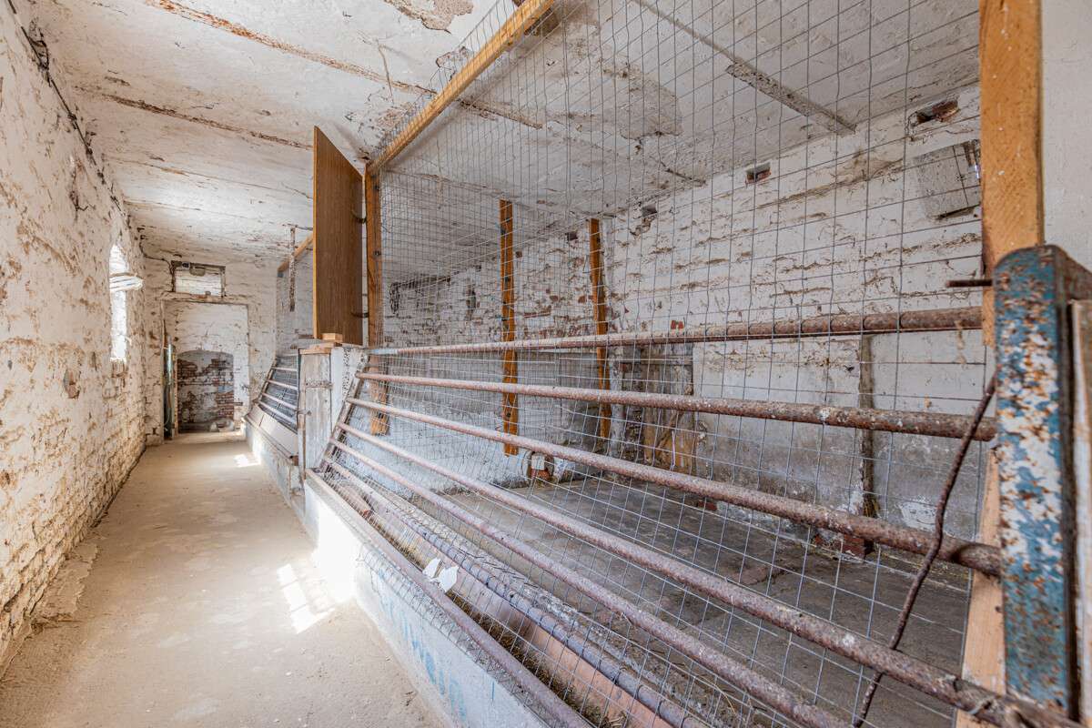 Immobilie in Halle - Schönes Bauernhaus mit Scheune, Remise und Nebengelass – Bremke - Bild 15