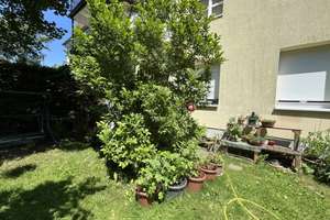 Hochparterre: 4-Zi.-Wohnung in TOP-Lage von DD-Bühlau – Die vollständige Adresse der Immobilie erhältst du vom Anbieter., 1324 Bühlau/Weißer Hirsch, Dresden – Vorschaubild 6
