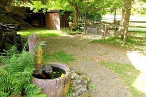 Einfamilienhaus mit Stallungen in Laubach-Münster – Die vollständige Adresse der Immobilie erhältst du vom Anbieter., 35321 Laubach – Vorschaubild 18
