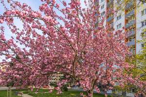 Property thumbnail 1