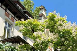 +++ Denkmalgeschützte Jugendstilvilla mit Grünanlage und Stellplätzen in Bestlage +++