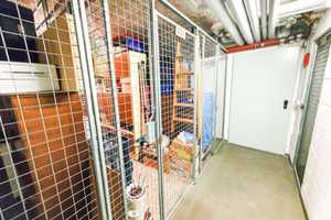 Property thumbnail 11