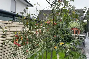 Schöppingen  – Steinfurt (Kreis) – Vorschaubild 21
