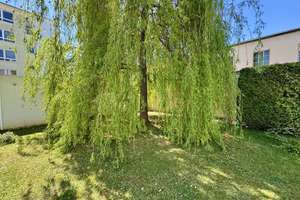 Charmante 1-Zimmer-Wohnung mit großem Balkon & Einbauküche - ruhig & grün im Westenviertel – Die vollständige Adresse der Immobilie erhältst du vom Anbieter., 93049 Westenviertel, Regensburg – Vorschaubild 22