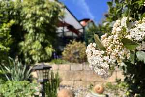 Ideal für junge Familien: Liebevoll renoviertes Einfamilienhaus mit Gartenidyll – Bergstraße (Kreis) – Vorschaubild 17