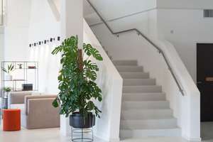 Property thumbnail 15