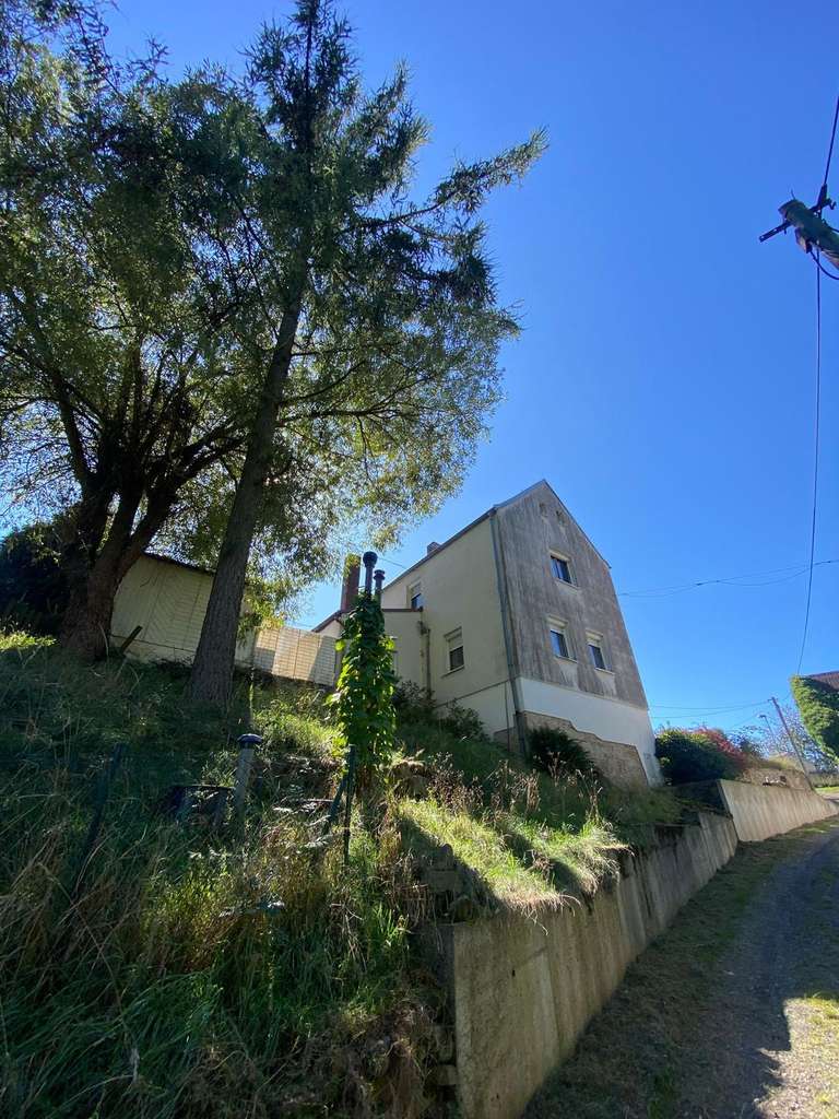 Immobilie in Hermsdorf - Einfamilienhaus in sehr ruhiger Randlage - Bild 1