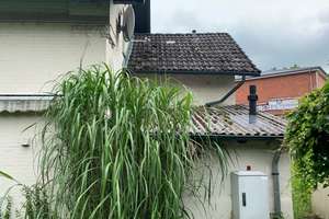 Ein besonderes kleines Haus in ländlicher Lage bei Kellinghusen – Die vollständige Adresse der Immobilie erhältst du vom Anbieter., 25548 Mühlenbarbek – Vorschaubild 5