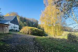 Bauernhof in idyllischer Alleinlage mit Stallungen Acker- und Grünflächen! – Lippe (Kreis) – Vorschaubild 8