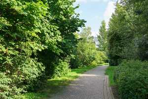 Schöner wohnen im Nordosten – Lorenzstr.  61, 18146 Rostock – Vorschaubild 16