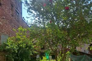 💎Top: Lichtdurchflutete 2 Zi. Altbau Whg. inkl. Einbauküche mit Terrasse & Gartenanteil – Die vollständige Adresse der Immobilie erhältst du vom Anbieter., 75179 Brötzingen, Pforzheim – Vorschaubild 2
