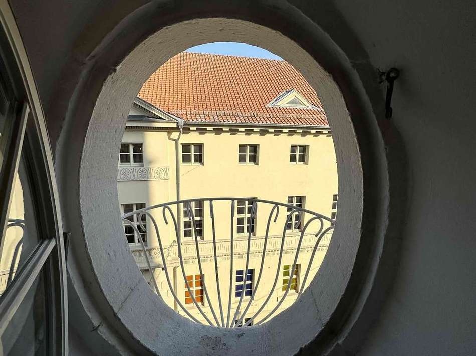Ochsenauge
