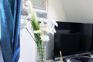 !! Nette kleine 1 Zimmer Wohnung Vollmöbliert !!