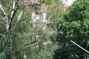 Lichtdurchflutete Jugendstilwohnung  im Herzen des Stuttgarter Westens - von privat, provisionsfrei – Ludwigstr. 118, 70197 Rotebühl, Stuttgart – Vorschaubild 21