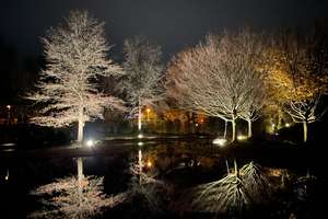 Property thumbnail 18