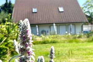 Gepflegtes Einfamilienhaus mit Terrasse, Doppelgarage und 700 M² wunderschönem Grundstück in Vacha-O – Die vollständige Adresse der Immobilie erhältst du vom Anbieter., 36404 Vacha – Vorschaubild 14