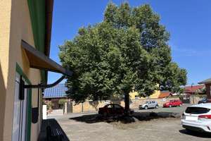 Wohn- und Geschäftshaus - EG ehem. Fleischerei / DG große Wohnung – Boilstädter Straße 9, 99867 Gotha – Vorschaubild 6