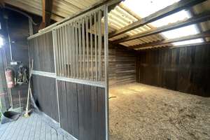 Charmanter Resthof mit vielseitigen Nutzungsmöglichkeiten und Weidefläche für Pferdehaltung – Die vollständige Adresse der Immobilie erhältst du vom Anbieter., 53937 Schleiden – Vorschaubild 37