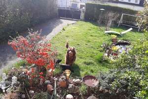 Property thumbnail 30